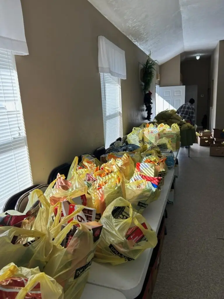 img 3743 1768996367158